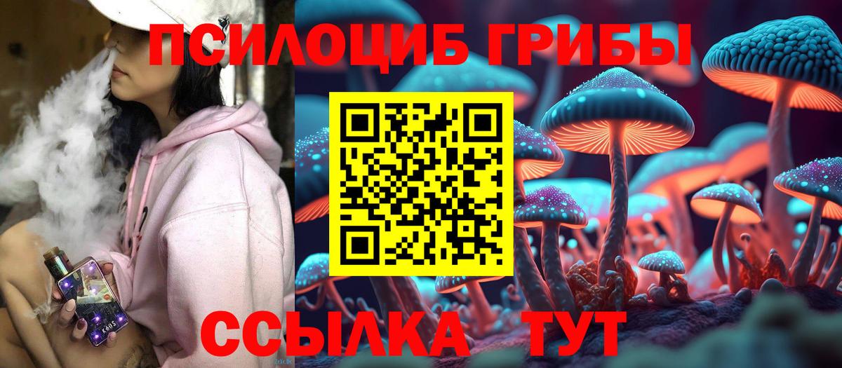 Псилоцибиновые грибы MAGIC MUSHROOMS  Вход с VPN  Галлюциногенные грибы MAGIC MUSHROOMS  Губкинский 